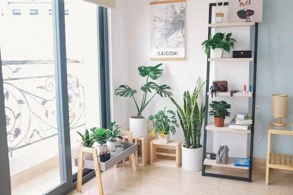 Les avantages d'un aménagement exotique dans une maison