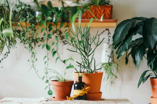 Comment créer une décoration écologique et spirituelle dans son intérieur ?